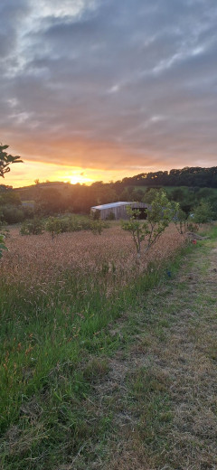 Rull Orchard image 3